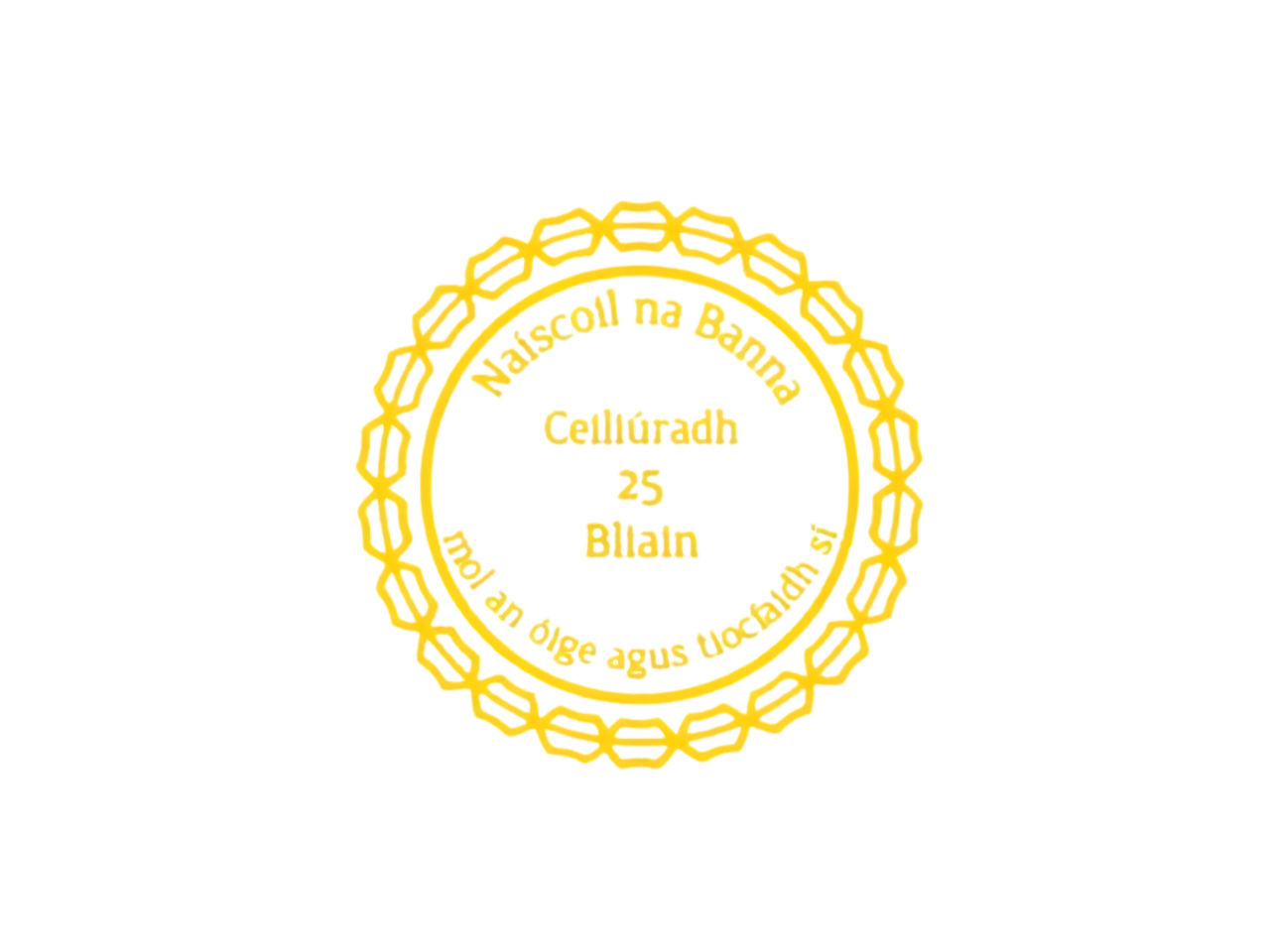 Donation made to Naíscoil na Banna