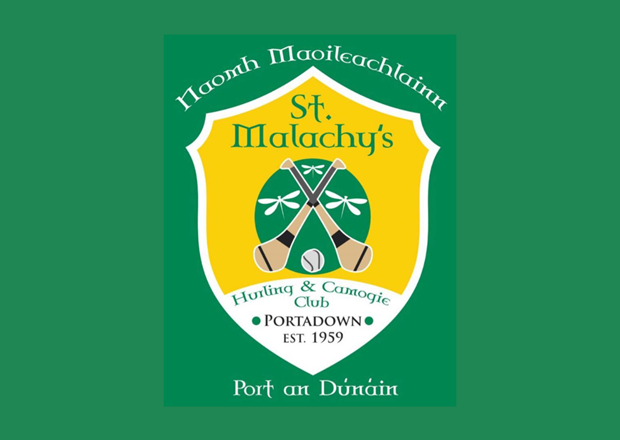 Donation made to St Malachy's Hurling and Camogie Club