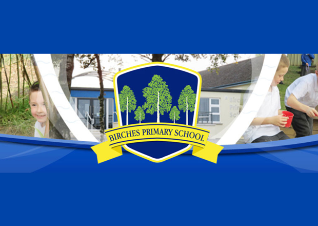 PCU donates to Birches PS sound system